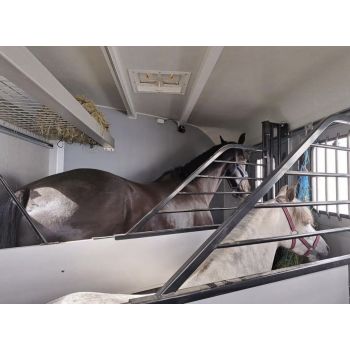 31.17.0274 (MAXI 4 OPTIMAX) Przyczepa do 4 koni DMC 3500 kg z siodlarnią 4 konna koniara końska koniowóz bukmanka Debon Cheval Liberte Nowim